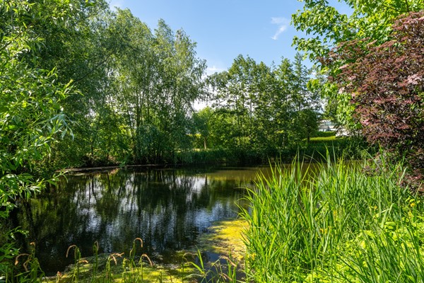 Medium property photo - Galerij 8, 4286 AS Almkerk